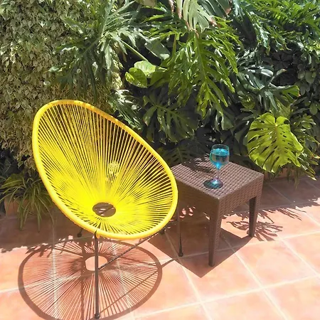 Casa Pita * Buenavista Del Norte